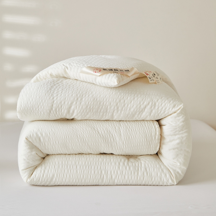 大彩家居 2025新款A类亲肤泡泡纱棉花被被子被芯 白色