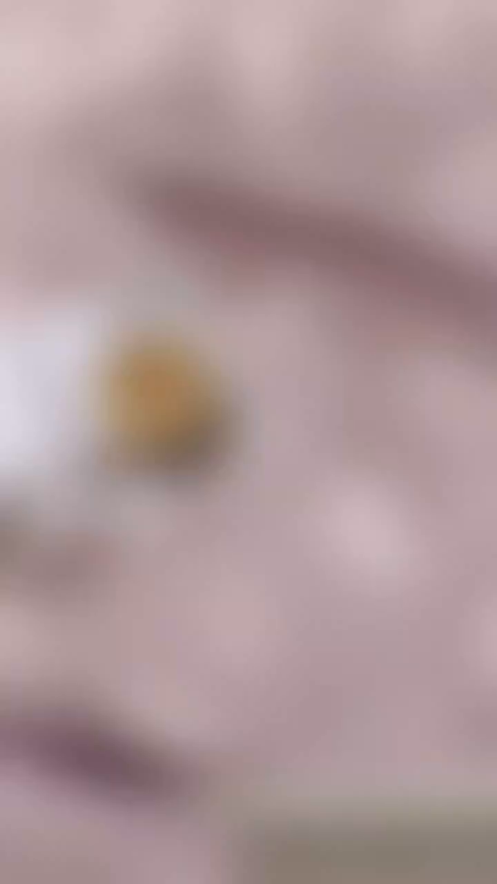 91家纺网 家纺一手货源 找家纺 卢赛尔 2025新款高克重皱皱复古原麻单床笠床笠三件套 紫苏槿