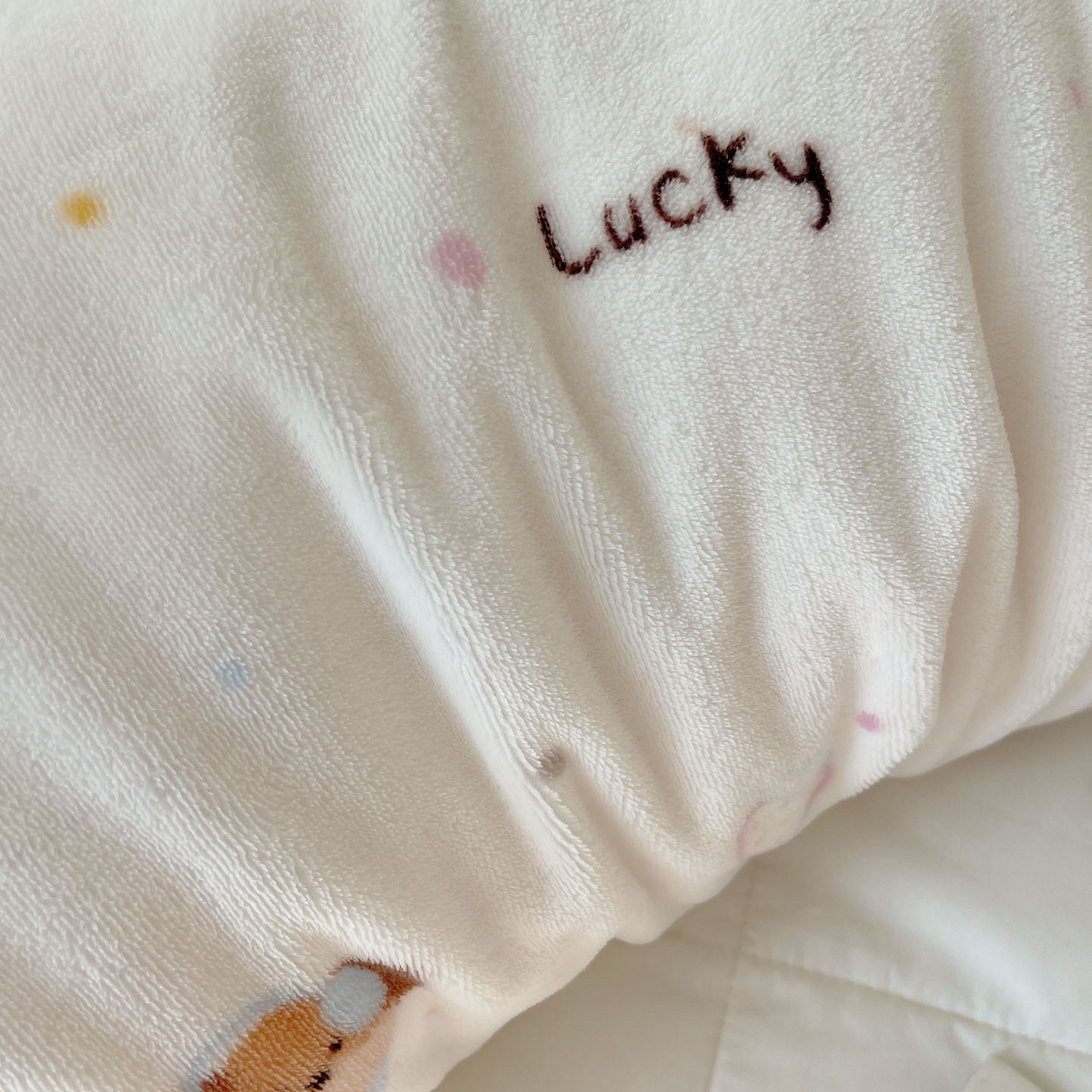 91家纺网 家纺一手货源 找家纺 六巷胡同 2025新款INS博主可爱风A类200g牛奶绒长条大抱枕 抱枕-腊肠狗联盟