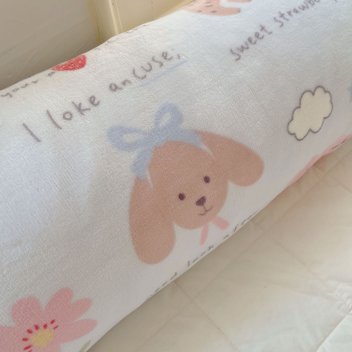 91家纺网 家纺一手货源 找家纺 六巷胡同 2025新款INS博主可爱风A类200g牛奶绒长条大抱枕 抱枕-猫狗小课堂