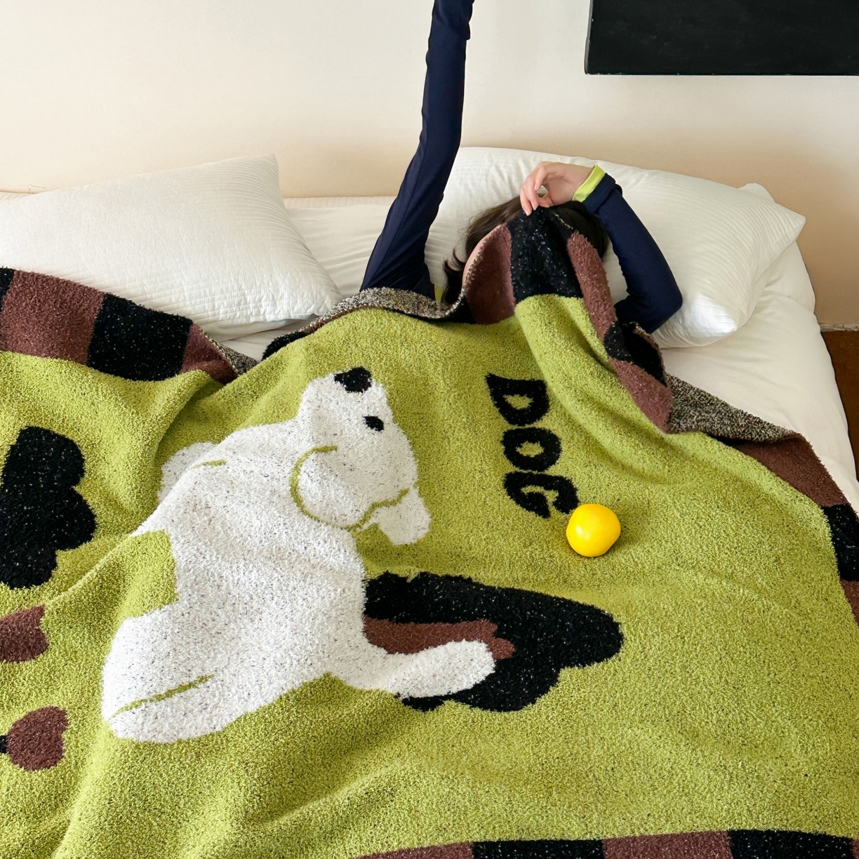 91家纺网 家纺一手货源 找家纺 觅糖家纺 2025新款卡通半边绒毛毯毯子系列 漫步小狗