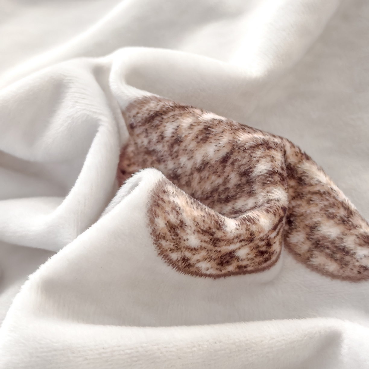 91家纺网 家纺一手货源 找家纺 良佐生活 2025新款A类高克重大版印花宝宝绒枕套 爱心格