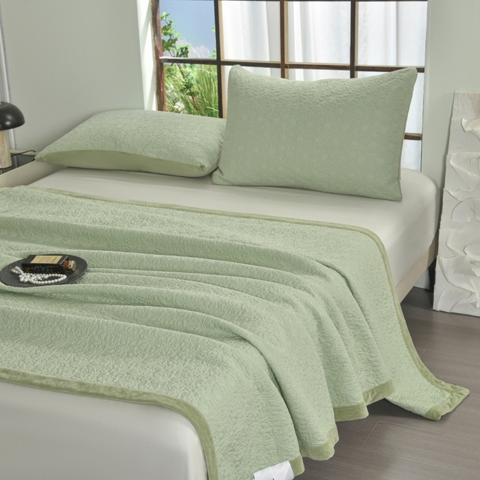 91家纺网 家纺一手货源 找家纺 源舜家纺 2025新款天丝棉婴儿绒双面单床盖 天丝棉绿色