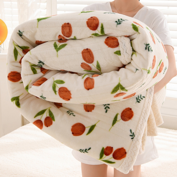 （总）圣靓 2025新款牛奶绒羊羔绒双层毛毯