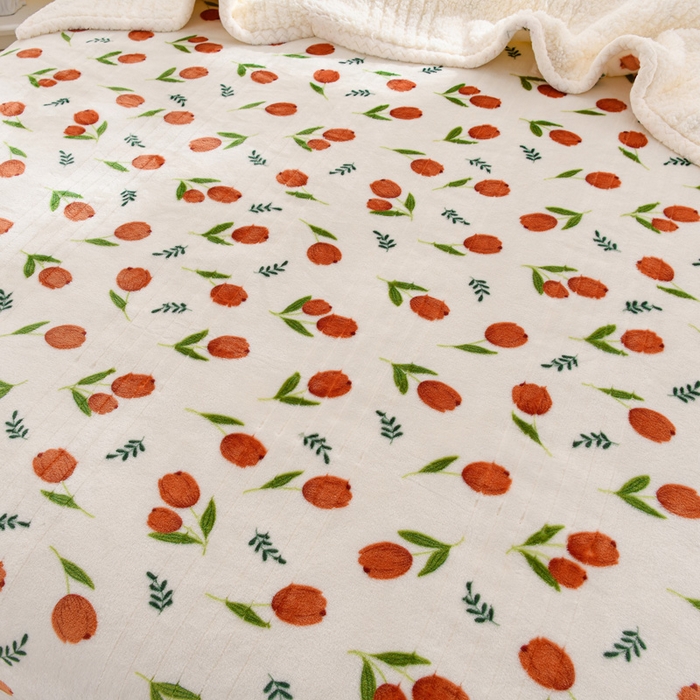 91家纺网 家纺一手货源 找家纺 （总）圣靓 2025新款牛奶绒羊羔绒双层毛毯