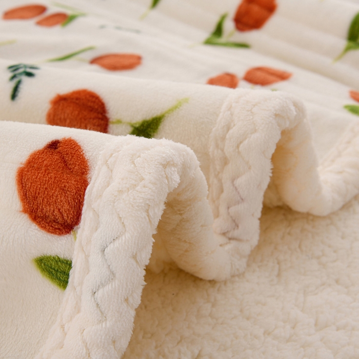 91家纺网 家纺一手货源 找家纺 （总）圣靓 2025新款牛奶绒羊羔绒双层毛毯