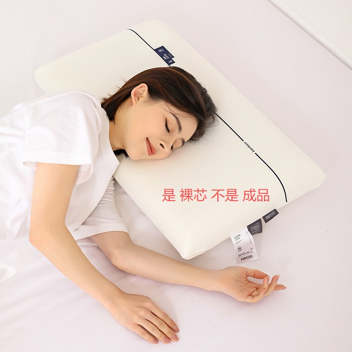 （總）亞龍工廠店 2025新款記憶枕枕頭枕芯   滿100起送枕芯不是成品！??！枕芯不是成品?。。? title=