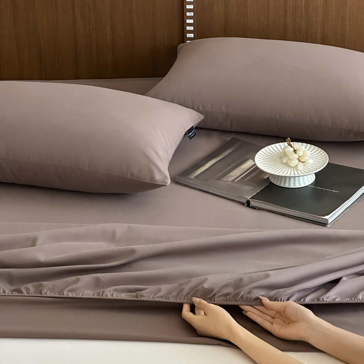 91家纺网 家纺一手货源 找家纺 三味舒屋 2025新款50支磨毛长绒棉纯棉纯色单床笠床笠单件-长期主义 巧克力