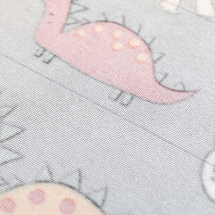 91家纺网 家纺一手货源 找家纺 金盛纺 2025新款高克重牛奶绒印花系列单床笠(可定制) 恐龙王国