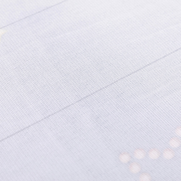 91家纺网 家纺一手货源 找家纺 金盛纺 2025新款高克重牛奶绒印花系列单床笠(可定制) 梦幻星空（蓝）