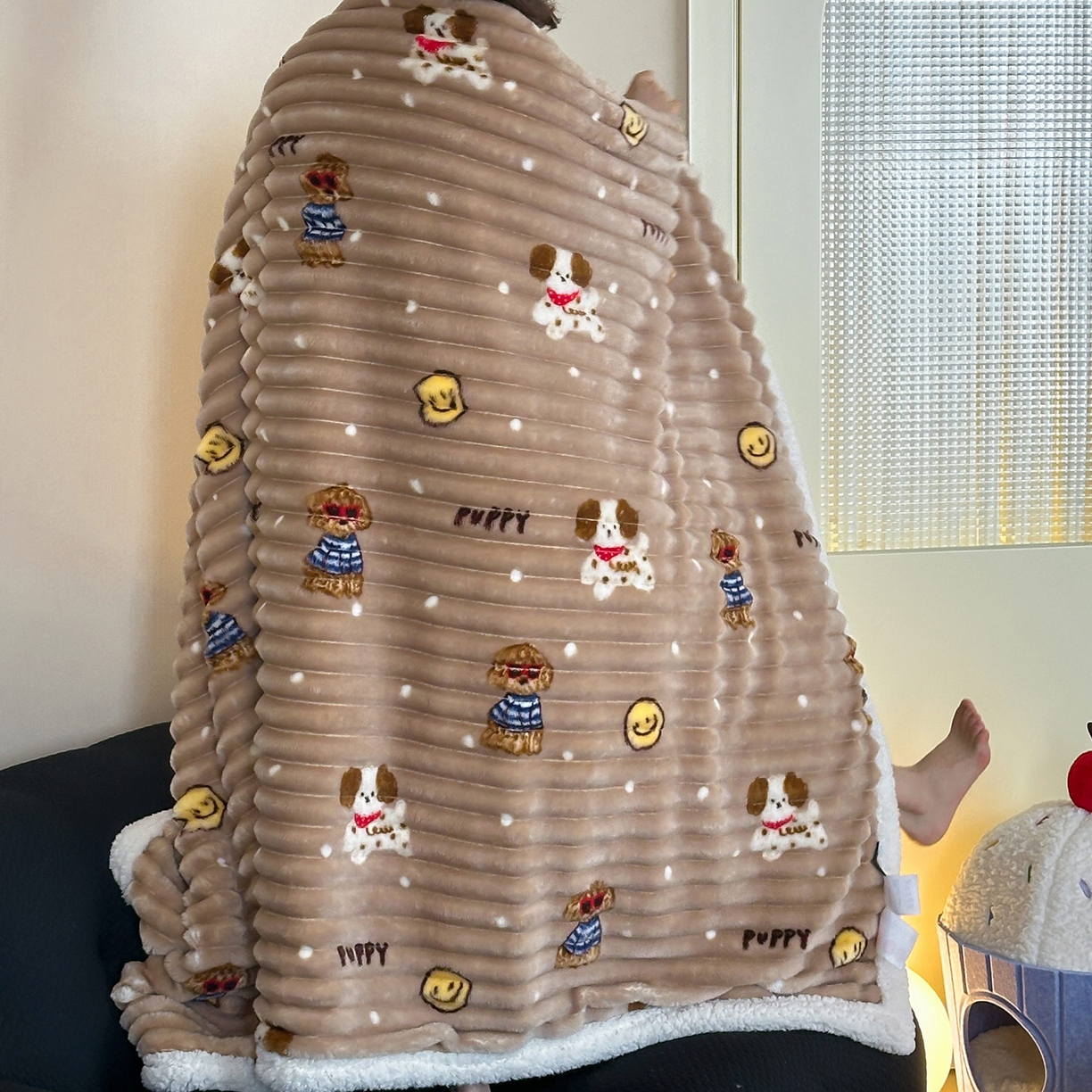 91家纺网 家纺一手货源 找家纺 RYB红黄兰 2025新款设计师原创抽条280g兔兔绒羊羔绒加厚毛毯 咖色潦草狗