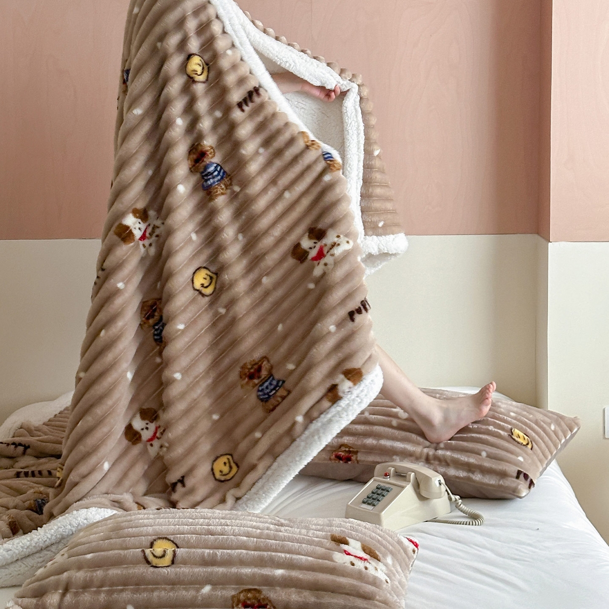 91家纺网 家纺一手货源 找家纺 RYB红黄兰 2025新款设计师原创抽条280g兔兔绒羊羔绒加厚毛毯 咖色潦草狗