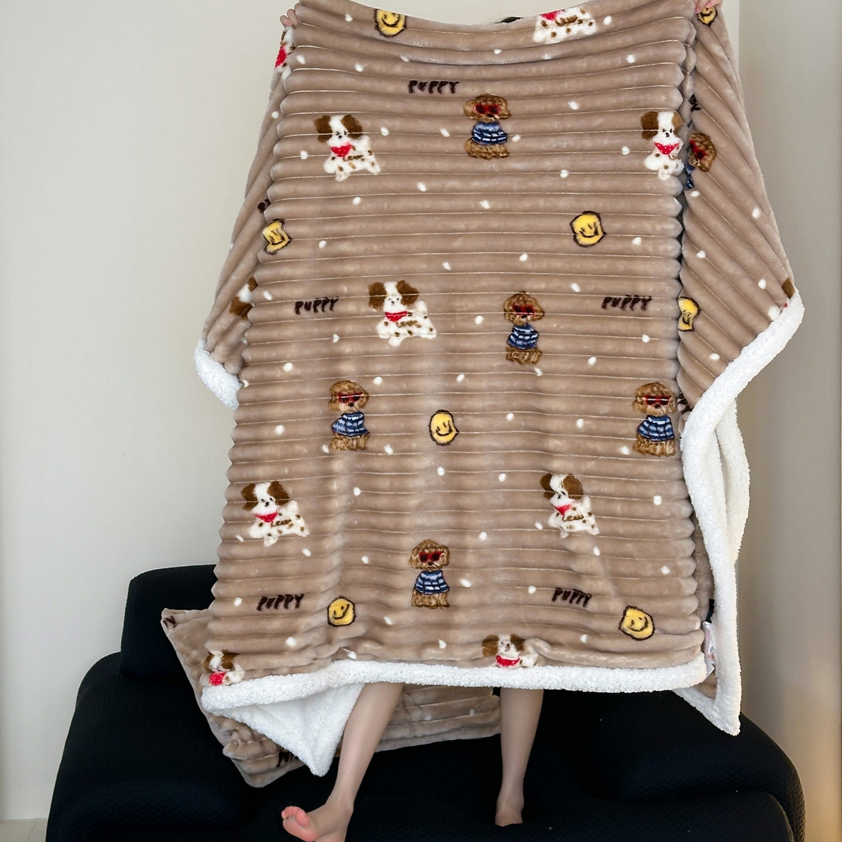 91家纺网 家纺一手货源 找家纺 RYB红黄兰 2025新款设计师原创抽条280g兔兔绒羊羔绒加厚毛毯 咖色潦草狗