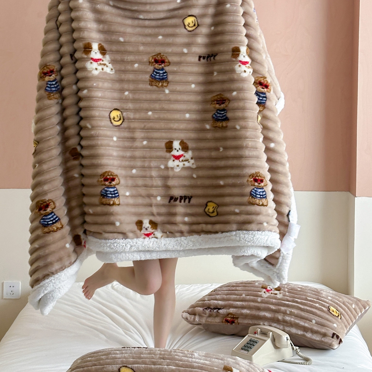 91家纺网 家纺一手货源 找家纺 RYB红黄兰 2025新款设计师原创抽条280g兔兔绒羊羔绒加厚毛毯 咖色潦草狗