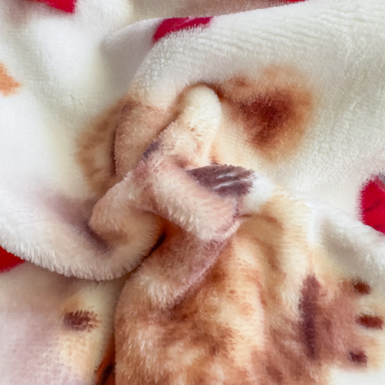 91家纺网 家纺一手货源 找家纺 潮邦创意家居 2025新款5D数码牛奶绒印花系列四件套 卡牌熊