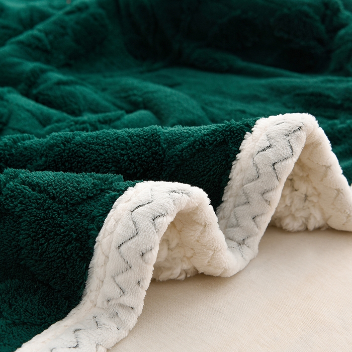 91家纺网 家纺一手货源 找家纺 圣楚家纺 2025新款塔芙绒叶语双层毯 叶语绿