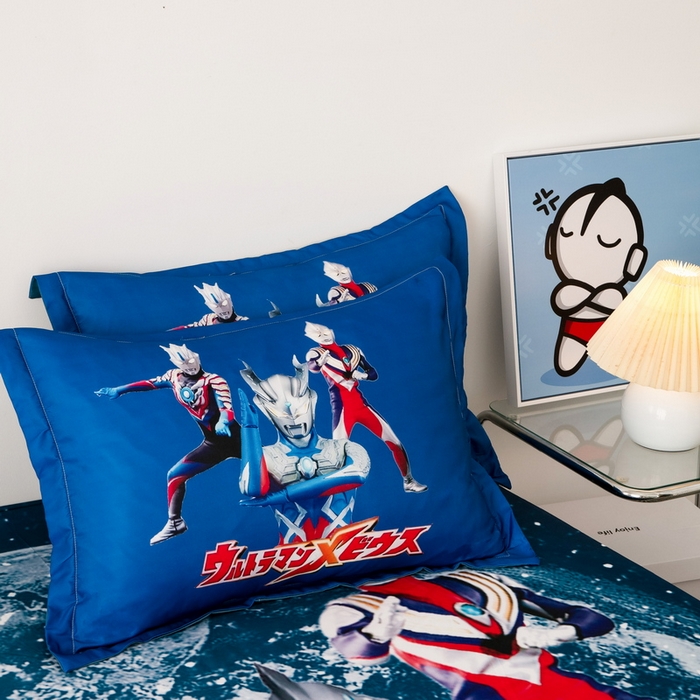 （总）一电 2025新款跨境电商卡通学生枕头套磨毛枕套