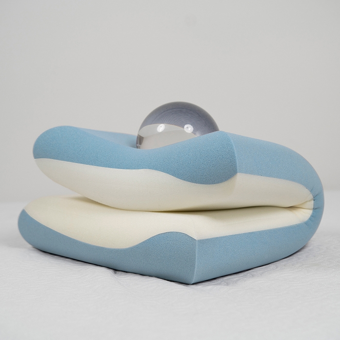 91家纺网 家纺一手货源 找家纺 （总）皇寝世家家居 2025pro款 深睡零压记忆枕 内芯双拼聚氨酯-蓝色（新）