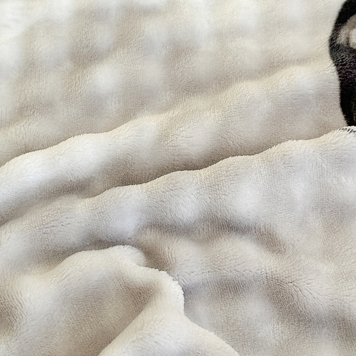 91家纺网 家纺一手货源 找家纺 富缦庭 2025新款泡泡牛奶绒床盖款四件套 蝴蝶花开