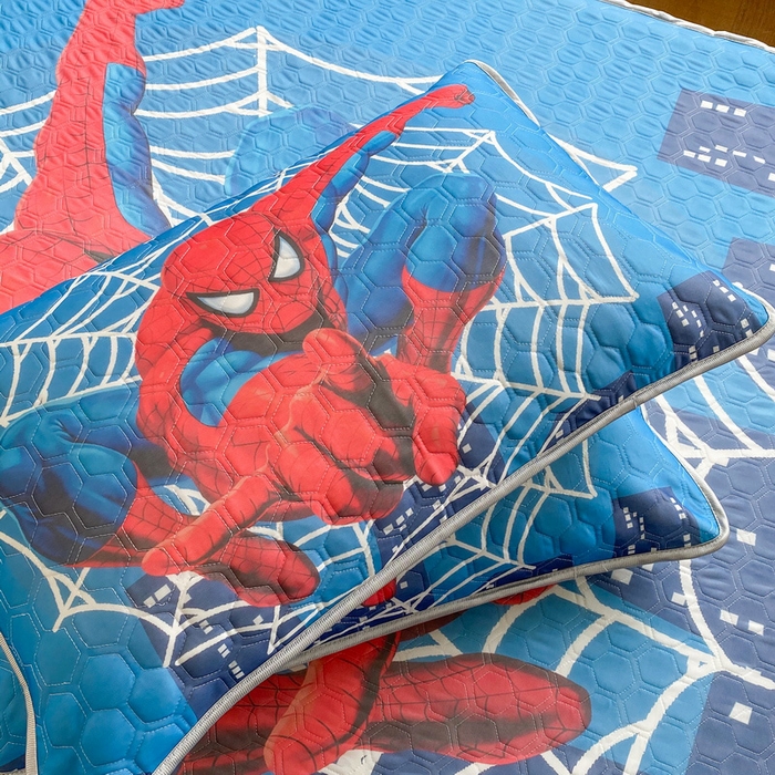 91家纺网 家纺一手货源 找家纺 一电 2025新款牛奶丝凉席床笠可水洗凉感丝凉席学生宿舍单人裸睡空调席-系列二 蜘蛛侠