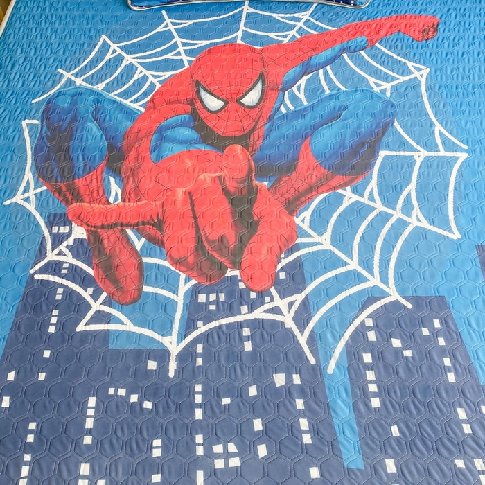 91家纺网 家纺一手货源 找家纺 一电 2025新款牛奶丝凉席床笠可水洗凉感丝凉席学生宿舍单人裸睡空调席-系列二 蜘蛛侠