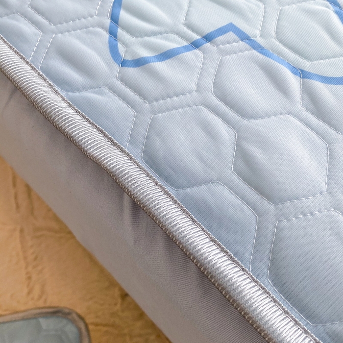 91家纺网 家纺一手货源 找家纺 一电 2025新款牛奶丝凉席床笠可水洗凉感丝凉席学生宿舍单人裸睡空调席-系列二 太空玉桂狗