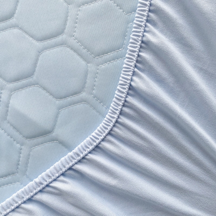 91家纺网 家纺一手货源 找家纺 一电 2025新款牛奶丝凉席床笠可水洗凉感丝凉席学生宿舍单人裸睡空调席-系列二 太空玉桂狗