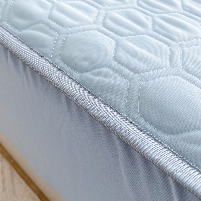 91家纺网 家纺一手货源 找家纺 一电 2025新款牛奶丝凉席床笠可水洗凉感丝凉席学生宿舍单人裸睡空调席-系列二 小熊玉桂狗