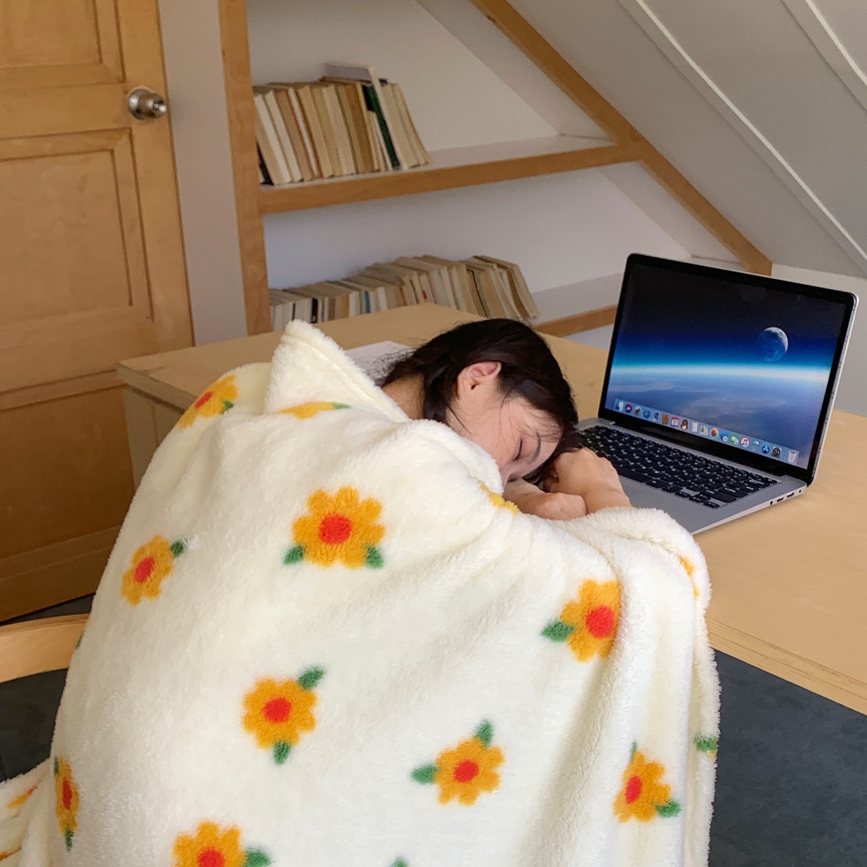 91家纺网 家纺一手货源 找家纺 桃喜 2025新款摇粒绒披肩毯毛毯毯子 小黄花