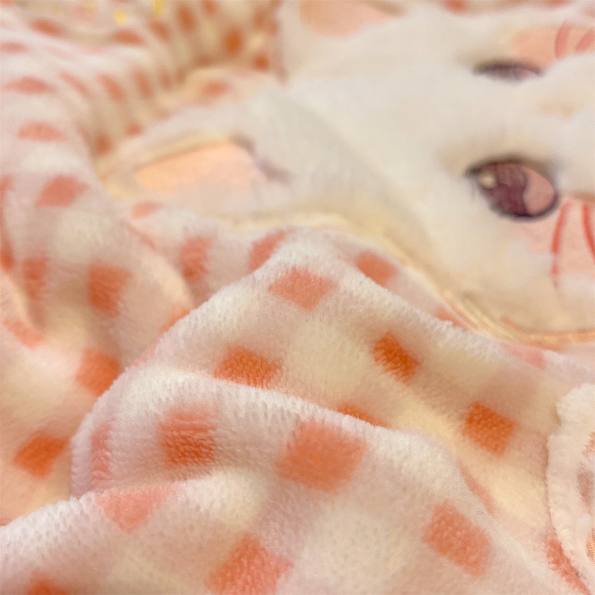 91家纺网 家纺一手货源 找家纺 星座家纺 2025新款A类牛奶绒贴布绣冬被被子被芯 萌宠小猫