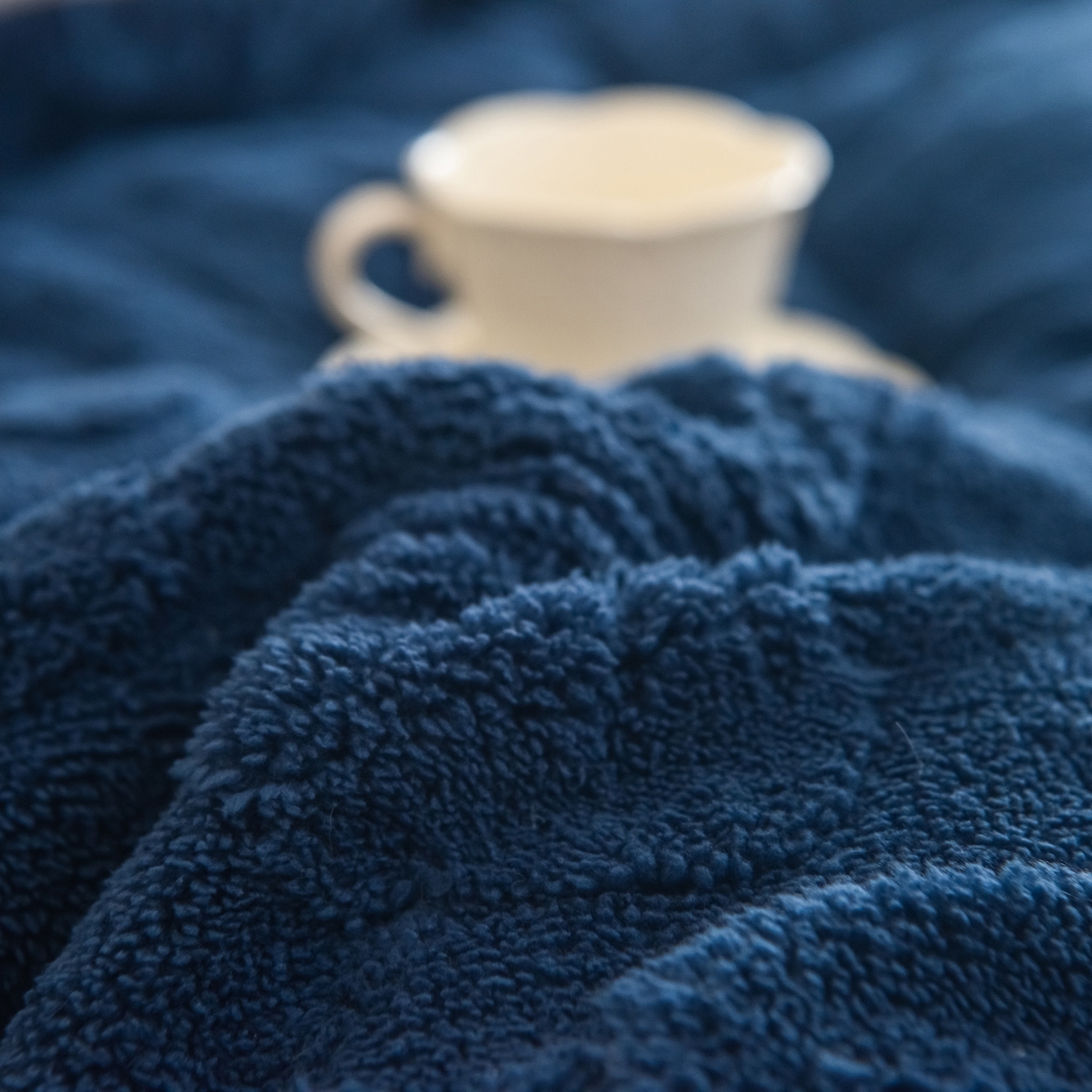 91家纺网 家纺一手货源 找家纺 畅销被业 2025新款塔芙绒羊羔绒提花冬被子被芯-小银杏叶系列 小银杏叶-蓝色