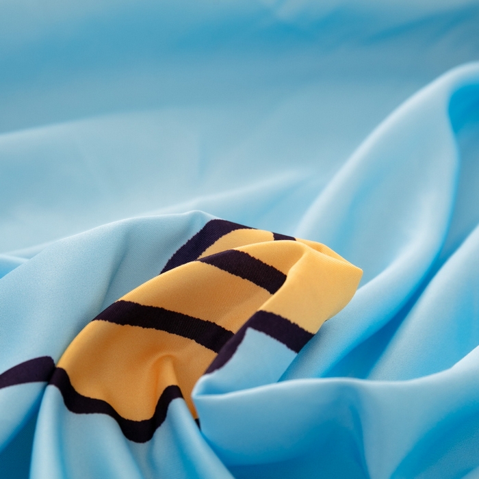 91家纺网 家纺一手货源 找家纺 一电 2024新款卡通床单床笠棕垫床套防尘罩席床垫保护套卡通儿童上下床床单床笠-第一批 可爱叮当