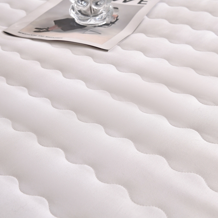 91家纺网 家纺一手货源 找家纺 织雅漫 2025新款水洗棉加厚床垫学生垫地铺睡垫 0.8*1.9水洗棉床垫厚度5cm 白色