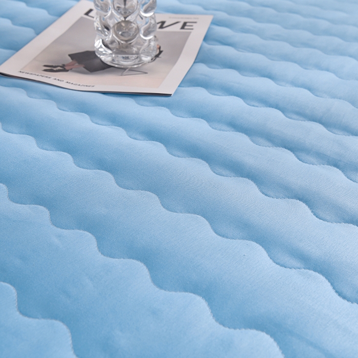 91家纺网 家纺一手货源 找家纺 织雅漫 2025新款水洗棉加厚床垫学生垫地铺睡垫 0.8*1.9水洗棉床垫厚度5cm 蓝色