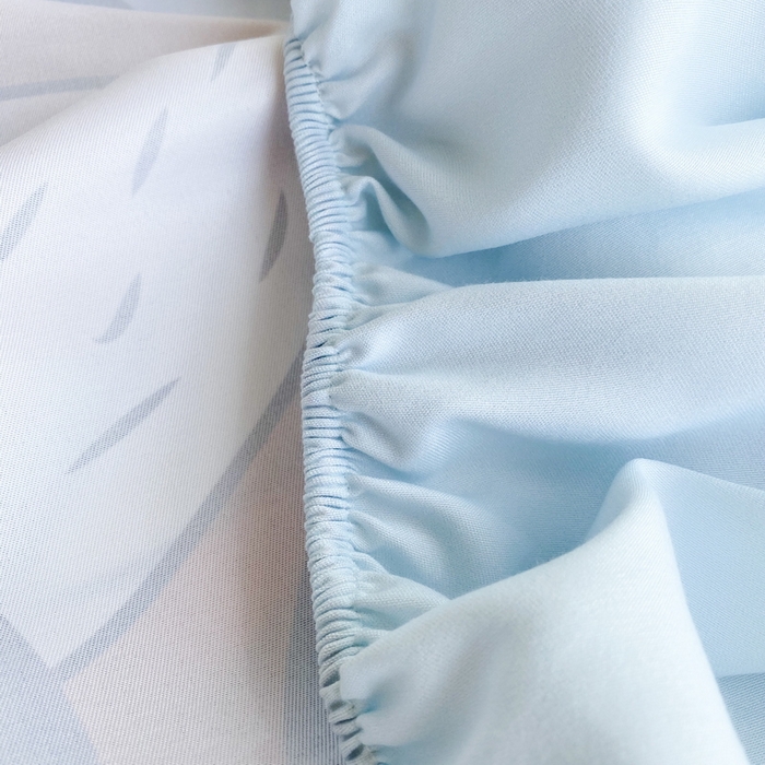 91家纺网 家纺一手货源 找家纺 一电 2024新款卡通床单床笠棕垫床套防尘罩席床垫保护套卡通儿童上下床床单床笠-第三批 街舞虎