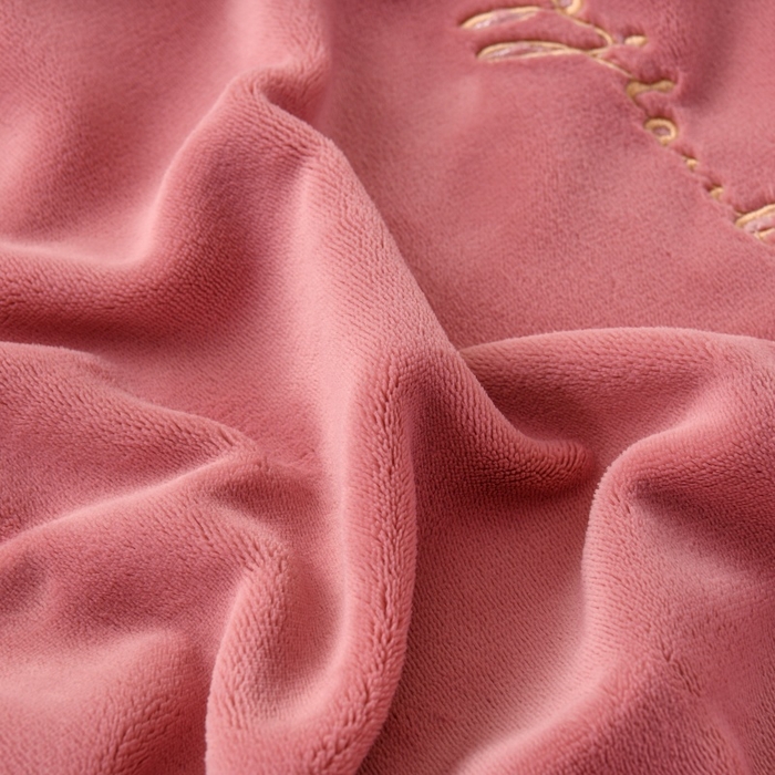 91家纺网 家纺一手货源 找家纺 优家居 2025新款240克高克重牛奶绒韩版刺绣花牛奶绒床单床裙款四件套 安娜-豆沙