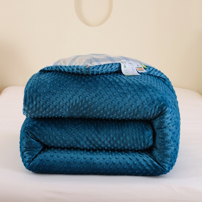 91家纺网 家纺一手货源 找家纺 乐沐 2025新款A类水洗棉双层纱豆豆绒被芯 露西-水兰