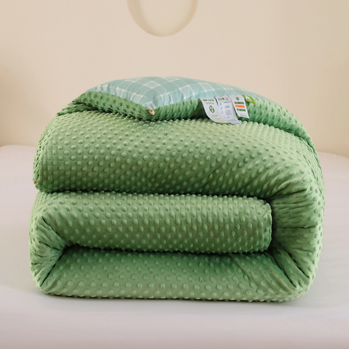 91家纺网 家纺一手货源 找家纺 乐沐 2025新款A类水洗棉双层纱豆豆绒被芯 西雅图-浅绿