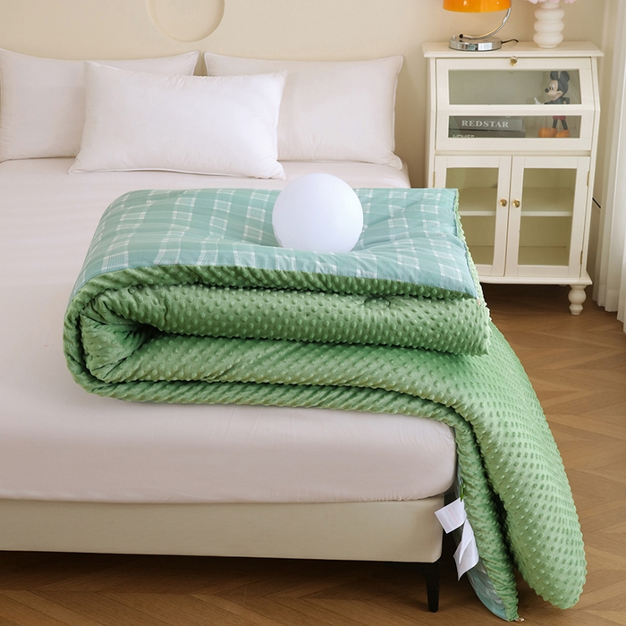 91家纺网 家纺一手货源 找家纺 乐沐 2025新款A类水洗棉双层纱豆豆绒被芯 西雅图-浅绿