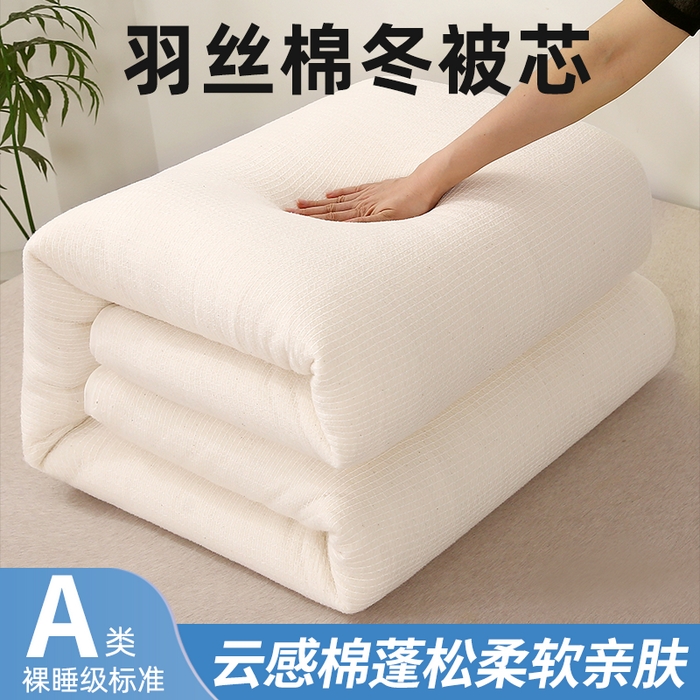91家纺网 家纺一手货源 找家纺 （总）好老表被业 2025新款羽丝棉被芯鱼鳞网纱整张填充棉胎冬被蓄能发热保暖四季被子加厚春秋被