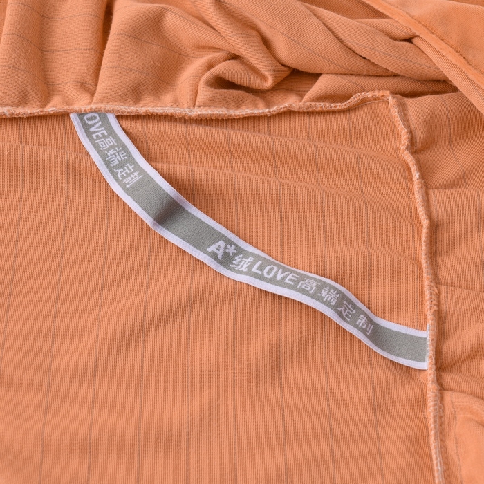 91家纺网 家纺一手货源 找家纺 （总）优家居 2025新款240克高克重牛奶绒单件床裙韩版刺绣花牛奶绒床裙三件套