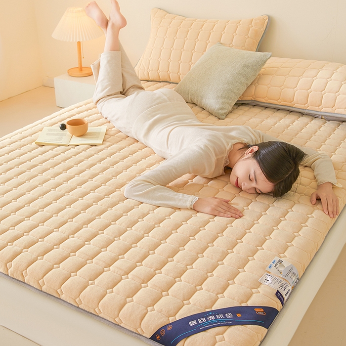 91家纺网 家纺一手货源 找家纺 （总）丽诺床垫 2025新款德芙绒记忆棉两用5厘米床垫垫子