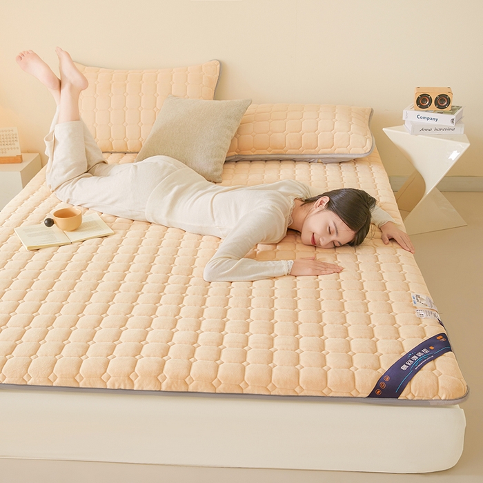 91家纺网 家纺一手货源 找家纺 （总）丽诺床垫 2025新款德芙绒记忆棉两用5厘米床垫垫子