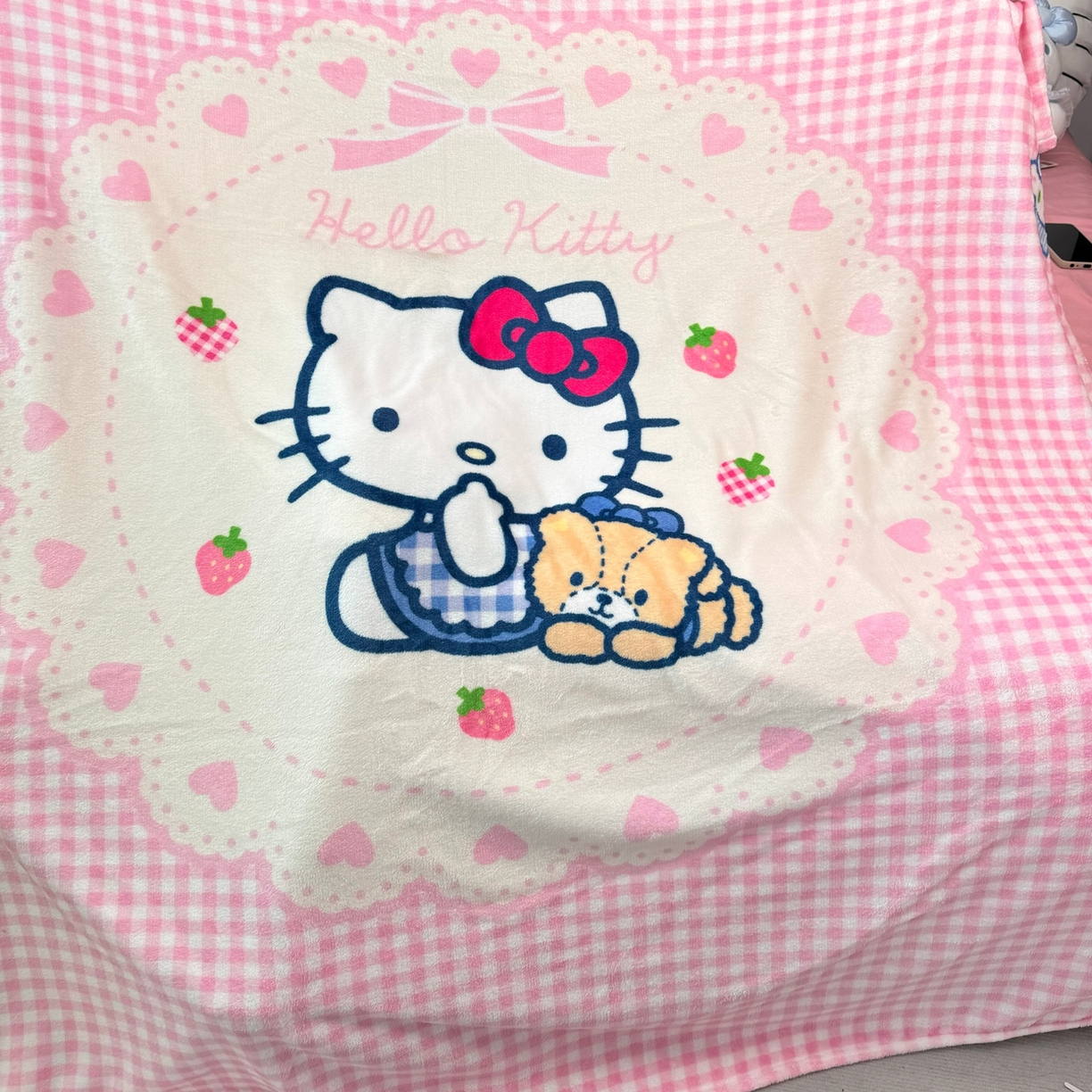 91家纺网 家纺一手货源 找家纺 博雅 2025新款三丽鸥牛奶绒盖毯毯子 小熊饼干KT