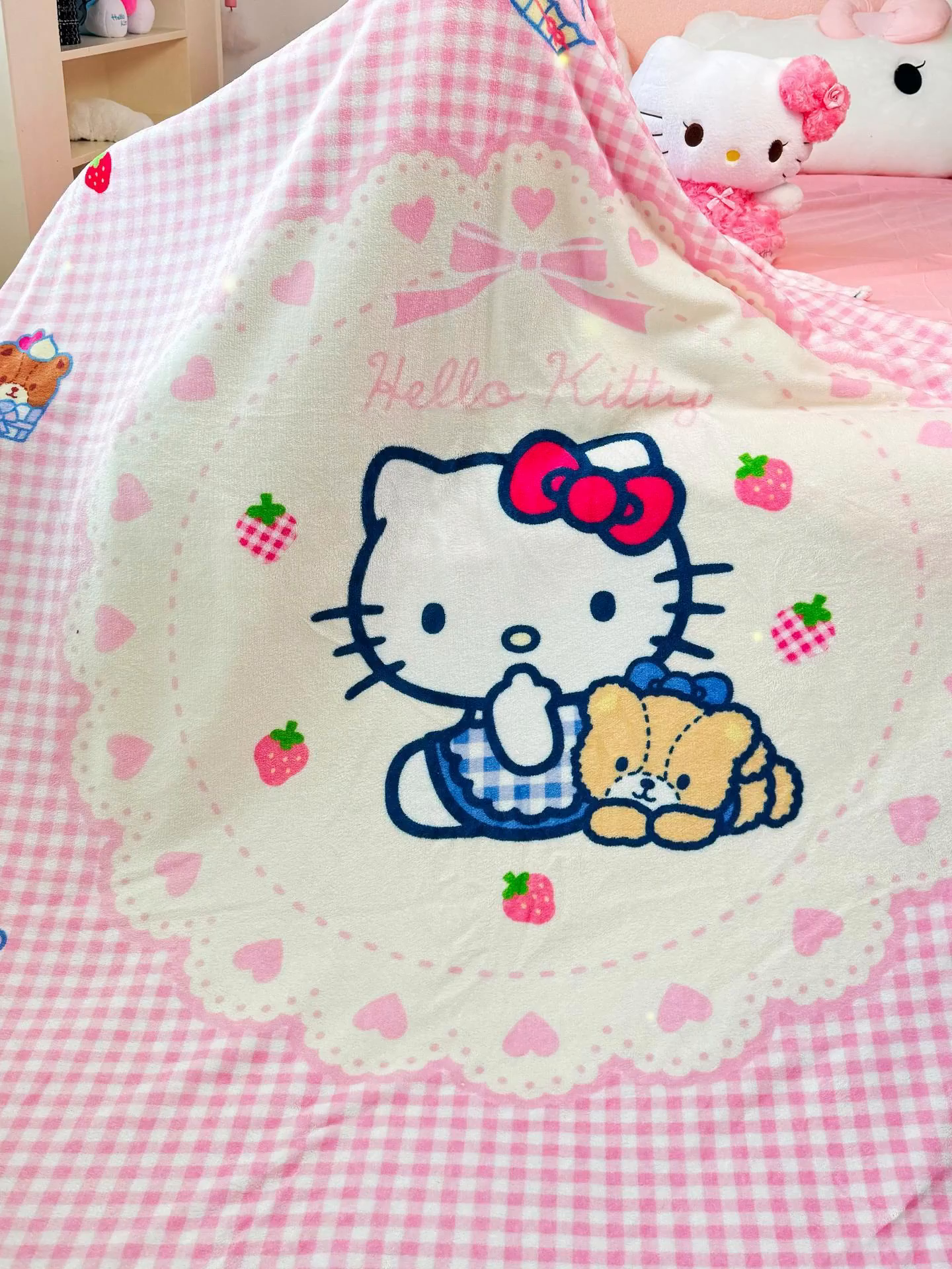 91家纺网 家纺一手货源 找家纺 博雅 2025新款三丽鸥牛奶绒盖毯毯子 小熊饼干KT