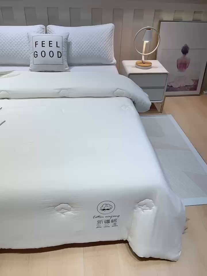 91家纺网 家纺一手货源 找家纺 奕宸居 2025新款新疆棉花保暖被被子被芯-本白 本白-绿