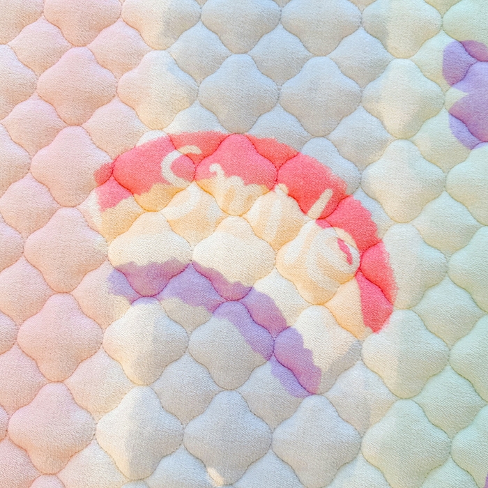 91家纺网 家纺一手货源 找家纺 喜居 2025新款高克重印花牛奶绒夹棉床褥床垫子褥子床护垫 彩虹草莓