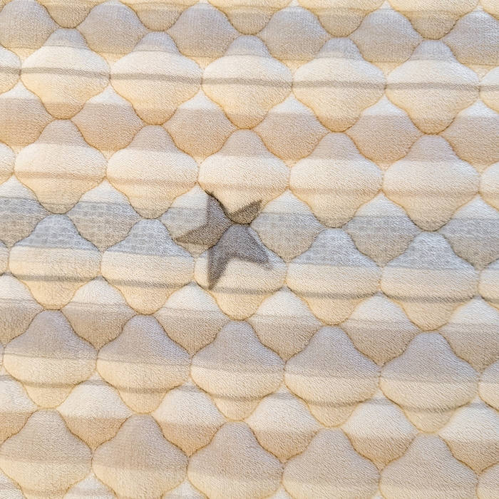 91家纺网 家纺一手货源 找家纺 喜居 2025新款高克重印花牛奶绒夹棉床褥床垫子褥子床护垫 星河