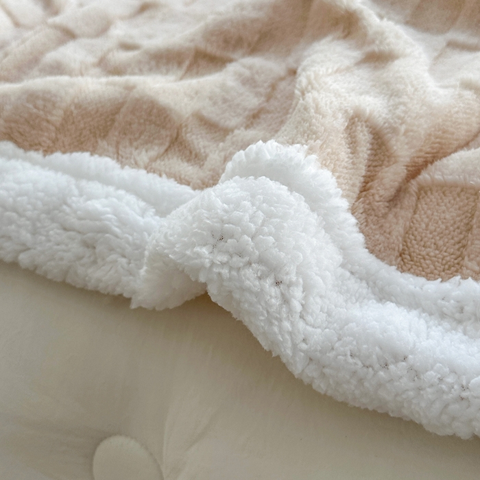 91家纺网 家纺一手货源 找家纺 佳居缘 【双面绒-方格】 2025加厚保暖羊羔绒毛毯双层塔芙绒毯子跨境专供外贸出口定制 方格-奶咖