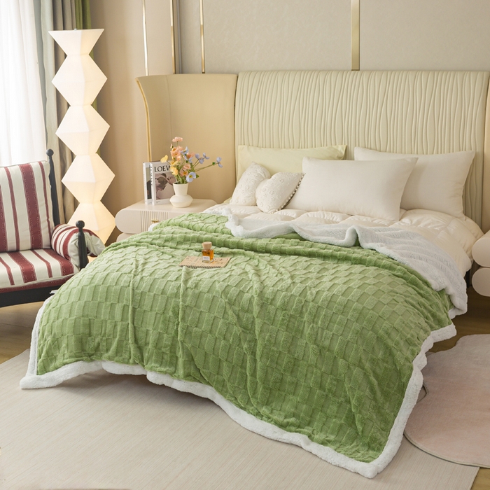 91家纺网 家纺一手货源 找家纺 佳居缘 【双面绒-方格】 2025加厚保暖羊羔绒毛毯双层塔芙绒毯子跨境专供外贸出口定制 方格-绿